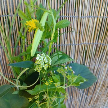 季節の茶花　なな様専用