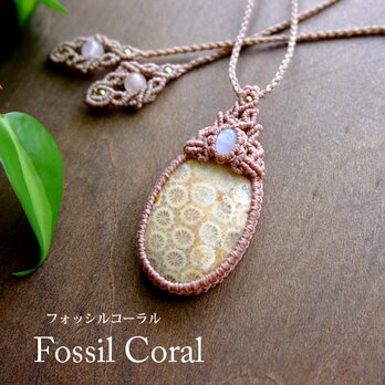 フォッシルコーラル（インドネシア産・化石珊瑚）ムーンストーン（スリランカ産） マクラメ編みペンダントネックレス ギフト　3098の画像