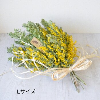 季節外れのミモザスワッグ（山梨県産・Lサイズ）の画像