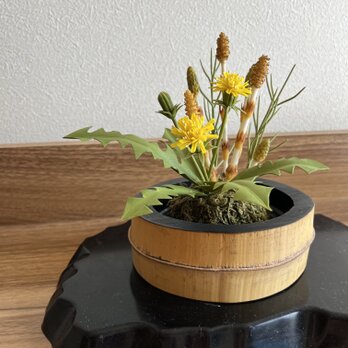 土筆とタンポポの画像
