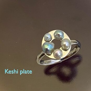 Keshi plate（ケシプレート）の画像