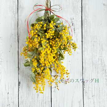 幸せの黄色！ミモザのスワッグHの画像
