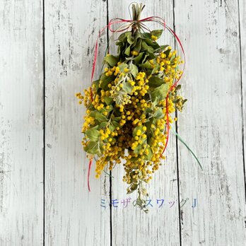 幸せの黄色！ミモザのスワッグＪの画像