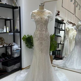 フランス風 ウェディングドレス キラキラチュール ビジュードレス クラシカル 優雅なシルエット ロングトレーン 結婚式の画像