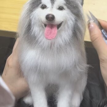 【受注作製】羊毛フェルト、うちの子、犬ぬいぐるみ、フェルト犬、ペットの肖像画、犬猫人形、トイプードル、ペットロス、うちのこ記念日の画像