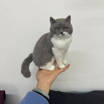 【受注作製】羊毛フェルト、うちの子、猫ぬいぐるみ、フェルト猫、ペットの肖像画、犬猫人形、トイプードル、ペットロス、うちのこ記念日の画像