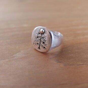 tree signet ringの画像