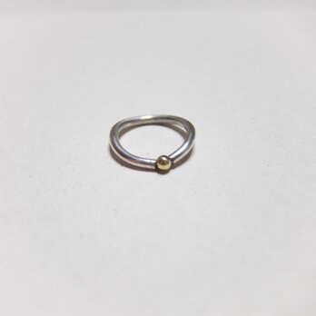 fruit of something ringの画像