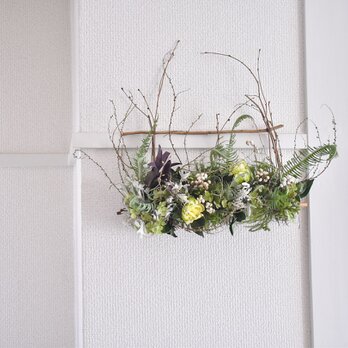 Verdure～緑の風～の画像