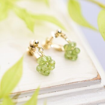 【イヤリング】新芽 若葉 若草 イエローグリーン ペリドットの実 金平糖 8月誕生石／誕生日プレゼントにもの画像