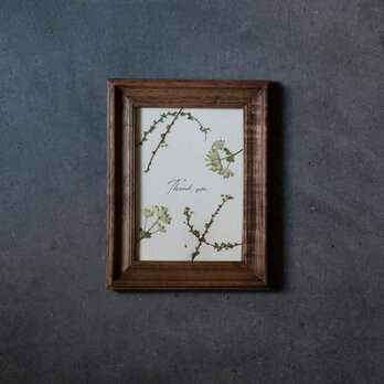 【母の日ギフトにおすすめ】押し花アートフレーム「Thank you」Greenの画像