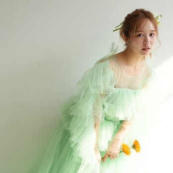実例写真！カラードレス グリーン ロングスリーブ プリーツドレス エアリー感 ファスナー 演奏会/音楽会 前撮りの画像