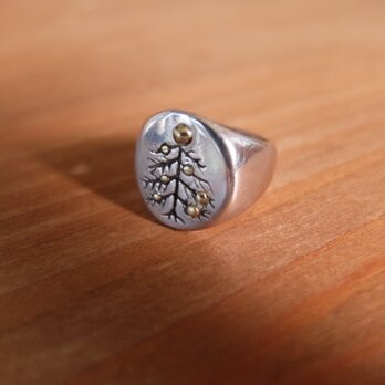 tree signet ring 02の画像