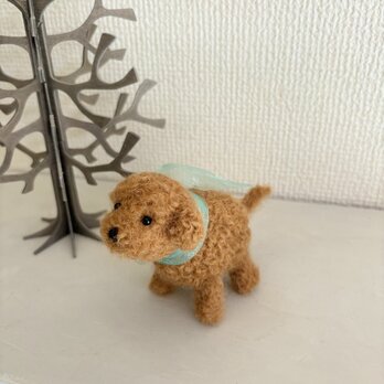 ちびっこトイプーちゃん　redの画像