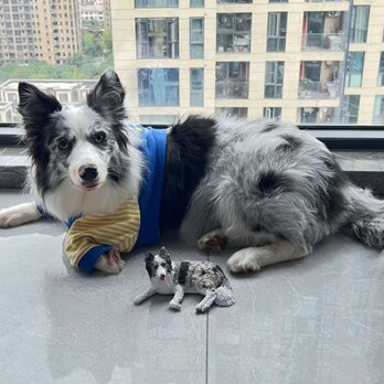 【受注作製】ペットギフト うちの子 写真入り 犬人形 フィギュア、名入れ 愛犬 肖像画 似顔絵❤ペットロス、誕生日、記念日の画像