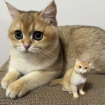 【受注作製】ペットギフト うちの子 写真入り 猫人形 フィギュア、名入れ 愛猫 肖像画 似顔絵❤ペットロス、誕生日、記念日の画像