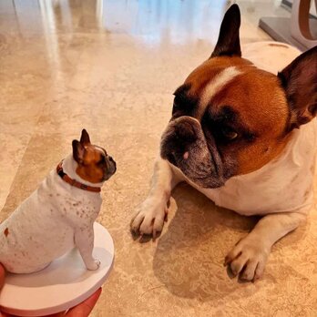 【受注作製】ペットギフト うちの子 写真入り 犬人形 フィギュア、名入れ 愛犬 肖像画 似顔絵❤ペットロス、誕生日、記念日の画像