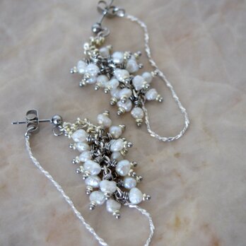 " Lupinus " - baroque pearl -の画像