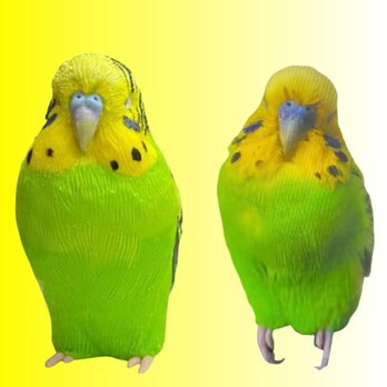 【受注作製】ペットギフト うちの子 モルモット 写真入り 人形 フィギュア、名入れ 似顔絵❤ペットロス、誕生日、記念日の画像