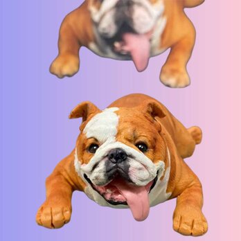 【受注作製】ペットギフト うちの子 写真入り 犬人形 フィギュア、名入れ 愛犬 肖像画 似顔絵❤ペットロス、誕生日、記念日の画像