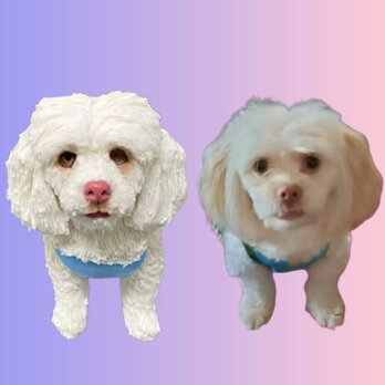 【受注作製】ペットギフト うちの子 写真入り 猫人形 フィギュア、名入れ 愛猫 肖像画 似顔絵❤ペットロス、誕生日、記念日の画像
