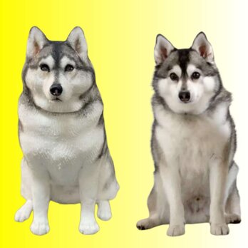 【受注作製】ペットギフト うちの子 写真入り 犬人形 フィギュア、名入れ 愛犬 肖像画 似顔絵❤ペットロス、誕生日、記念日の画像