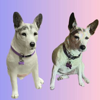 【受注作製】ペットギフト うちの子 写真入り 犬人形 フィギュア、名入れ 愛犬 肖像画 似顔絵❤ペットロス、誕生日、記念日の画像
