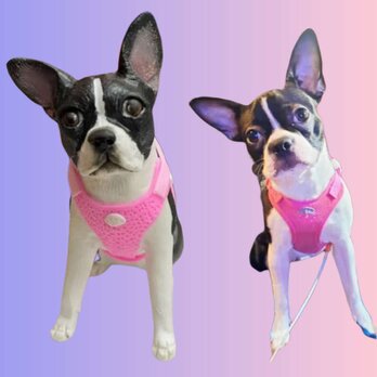 【受注作製】ペットギフト うちの子 写真入り 犬人形 フィギュア、名入れ 愛犬 肖像画 似顔絵❤ペットロス、誕生日、記念日の画像