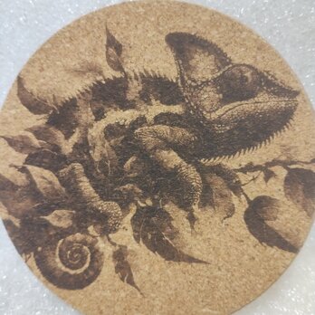 コースター　カメレオンの画像