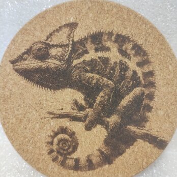 コースター　カメレオン②の画像