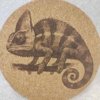 コースター　カメレオン③の画像