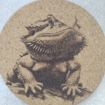 コースター　フトアゴヒゲトカゲ②の画像
