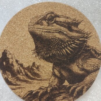 コースター　フトアゴヒゲトカゲ③の画像