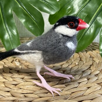☆mi様オーダー品☆ 羊毛フェルト桜文鳥の画像