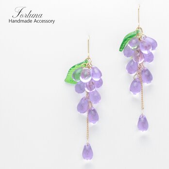 藤の花(1091) ピアス/イヤリング/ノンホールピアス/樹脂ピアスの画像