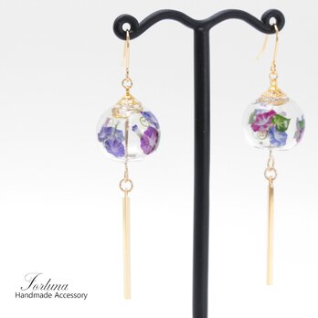 風鈴~朝顔~(797) ピアス/イヤリング/ノンホールピアス/樹脂ピアスの画像