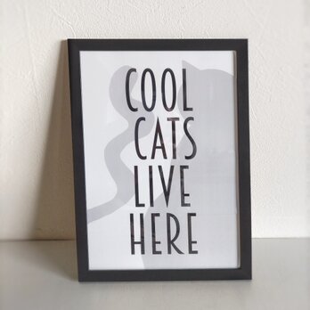A4ポスター Cool catsの画像