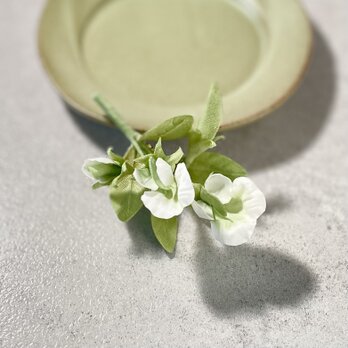 布花　食べて美味しい、観ても可愛いスナップエンドウのブローチの画像