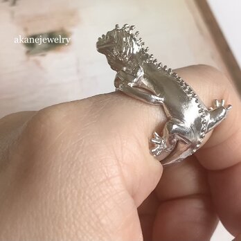 イグアナの指輪の画像