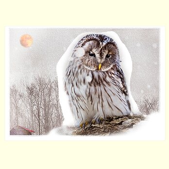 フクロウの詩の画像