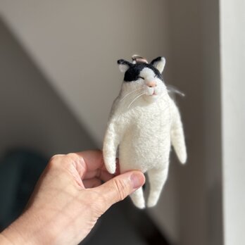 ハチワレメイくんのキーホルダーの画像