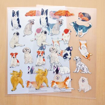 A4クリアファイル　犬の画像