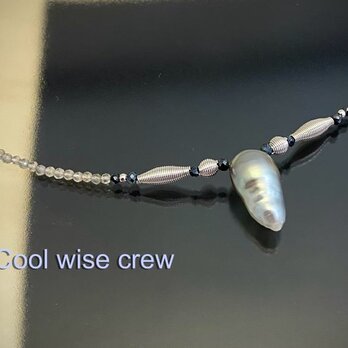 Cool wise crew（クールワイズクルー）の画像