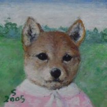 芝犬・ピンク（Bo様ご案内中）の画像