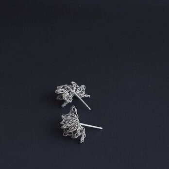 Mai(S) Earringsの画像