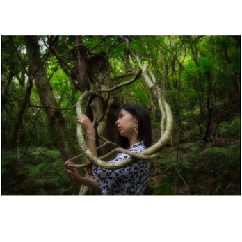 屋久島 魅入られる幻想の森 [3] 【風景写真・ポスターアート インテリア】の画像