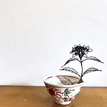 山紫陽花 (小)の画像