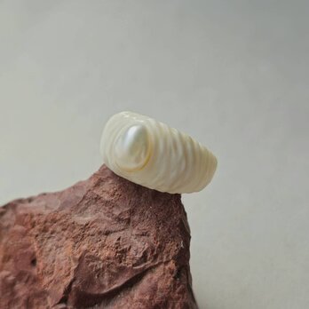 鹿の角 真珠のリング(約)8号の画像