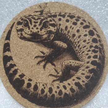 コースター　ヒョウモントカゲモドキの画像