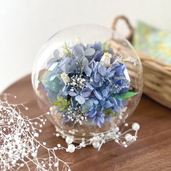bubble garden “あじさい” 晴れやかブルー2025の画像